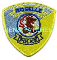 ILLINOIS,ROSELLE POLICE 2_wm